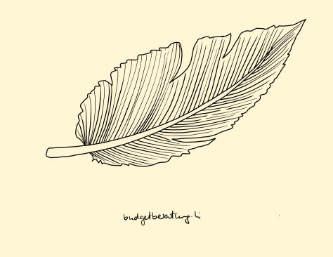 Logo budgeberatung.li